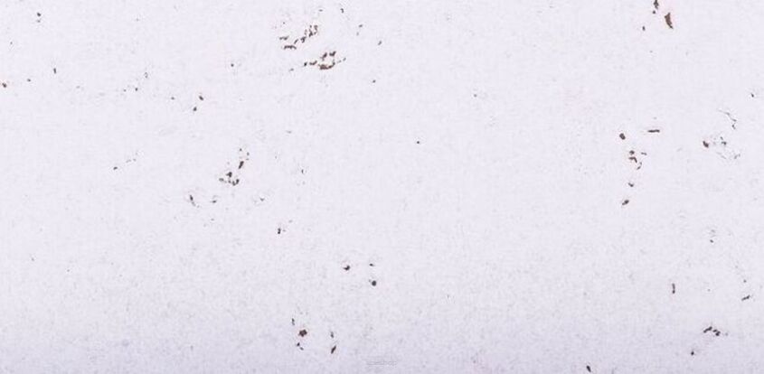 Seinäkorkki MALTA SNOW 3MM
