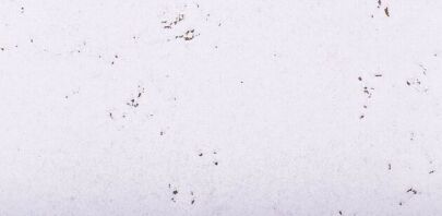 Seinäkorkki MALTA SNOW 3MM