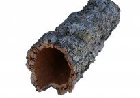 Luonnonkorkki putket - 2