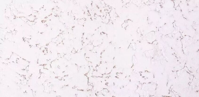 Seinäkorkki EXCLUSIVE SNOW 3MM