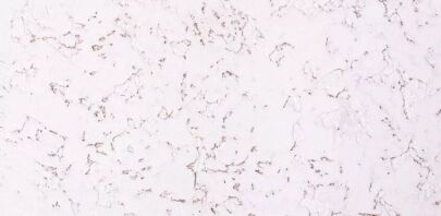 Seinäkorkki EXCLUSIVE SNOW 3MM