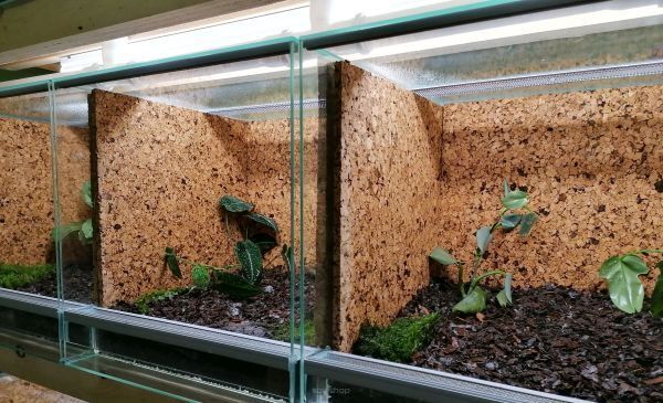 Paisutettu korkki - tutustu hyvän eristyksen etuihin